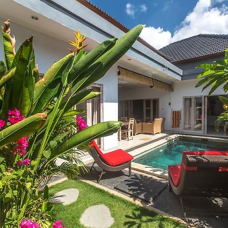 Castro Villa سمينياك المظهر الخارجي الصورة